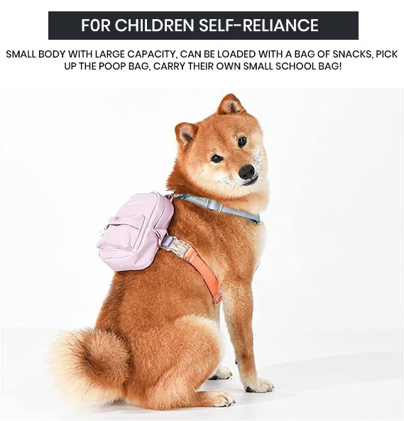 The SeeThru™ Xtreme Backpack