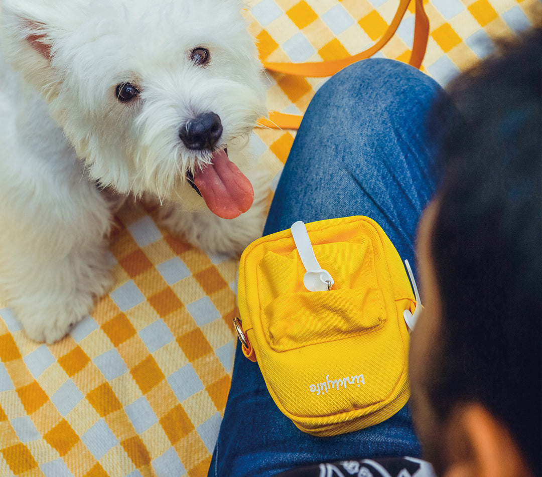 The SeeThru™ Xtreme Backpack