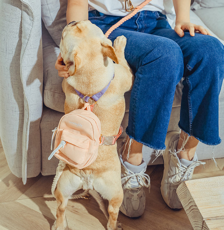 The SeeThru™ Xtreme Backpack