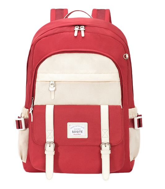The Quolis™ Fusion Backpack by Camel Mountain – 19L, Fits Up To 16" Laptop