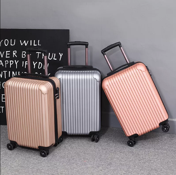 The Designer™ Pro Luggage
